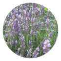 Lavender stickers by CyrScenes Lavender stickers