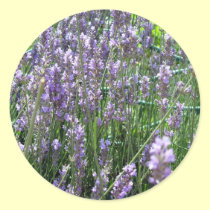 Lavender stickers