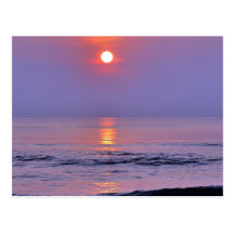 Lavender sun post cards