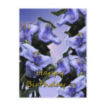 Lavender Wild Flowers Happy Birthday Postcard