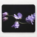 lavenders mousepads by dawnmcininch lavenders mousepads