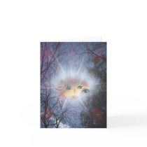 Law of Attraction Cards