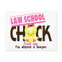 Law School Chick 3 Post Card