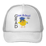 Law School Grad Mesh Hat
