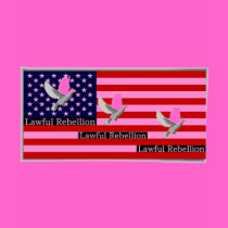 Lawful Rebellion t-shirts