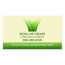Lawn Care Grass Logo Business card
