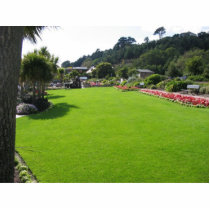 Lawn In One Park On Jersey Island photo sculptures by lifesphere Lawn In One Park On Jersey Island photo sculptures