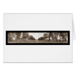 Lawn University of Virginia Huge Photo 1911 Greeting Cards