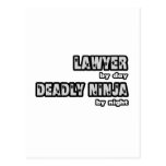 Lawyer By Day...Deadly Ninja By Night Postcard