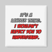 Lawyer Thing .. You Wouldn't Understand Magnets