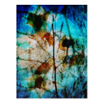 Layered Leaves Postcard