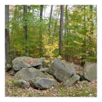 Layered Rocks Poster posters