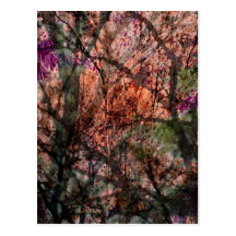 Layered Trees at Sunset Postcard