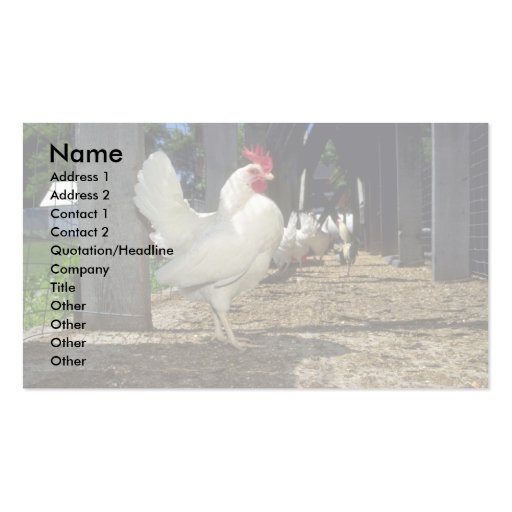 Layers (Hens And Roosters) Business Cards (front side)