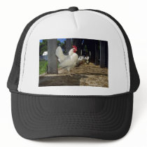 Layers (Hens And Roosters) Mesh Hats
