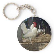 Layers (Hens And Roosters) Key Chains