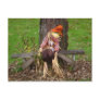 "Laying Down On The Job" Scarecrow Postcard