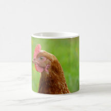 Laying Hen Rhode Island Red Chicken Coffee Mugs