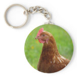 Laying Hen Rhode Island Red Chicken keychains