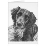 Layla the Border Collie Mix Charcoal Sketch Greeting Card