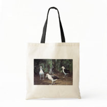 Laysan Albatross Canvas Bag