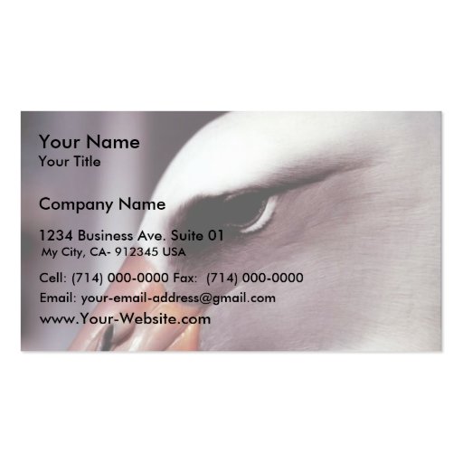 Laysan Albatross Close Up Head Shot Business Card Template (front side)