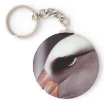 Laysan Albatross Close Up Head Shot Keychains
