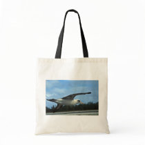 Laysan albatross flying bags