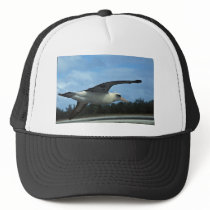 Laysan albatross flying trucker hats