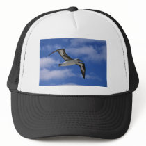 Laysan albatross flying in air trucker hat