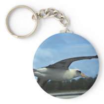 Laysan albatross flying key chains