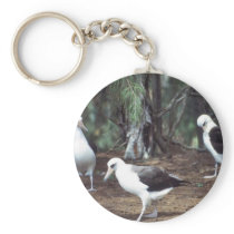 Laysan Albatross Key Chains