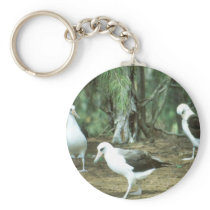 Laysan Albatross Keychain