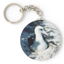 Laysan Albatross Keychain
