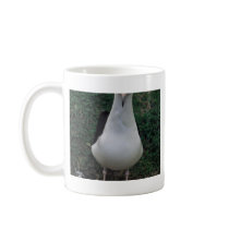 Laysan albatross standing mug