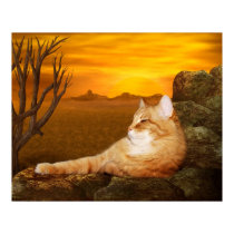 Lazing cat posters