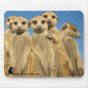 Lazuli pups Mousemat mousepads by fkmp_store Lazuli pups Mousemat mousepads