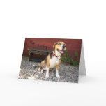 Lazy Beagle Looking Good Greeting Card - Cooper