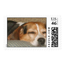 Lazy Beagle Stamp