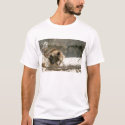 Lazy Bear t-shirts