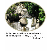 Lazy Brook Women's T-Shirt w/Verse by Sing4HIM7 Lazy Brook Women's T-Shirt w/Verse