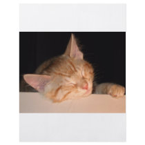 Lazy Cat Personalized Flyer