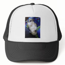 Lazy Cat Hat