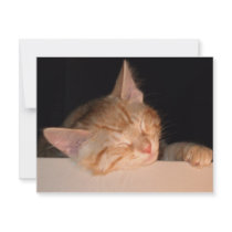 Lazy Cat invitations