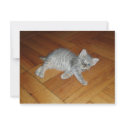 Lazy Cat invitations