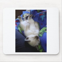 Lazy Cat Mouse Pads