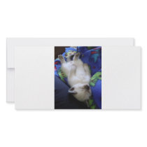 Lazy Cat Personalized Photo Card