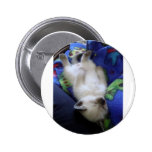 Lazy Cat Pins