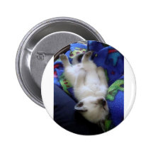 Lazy Cat Pins