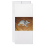 Lazy Cat rack cards